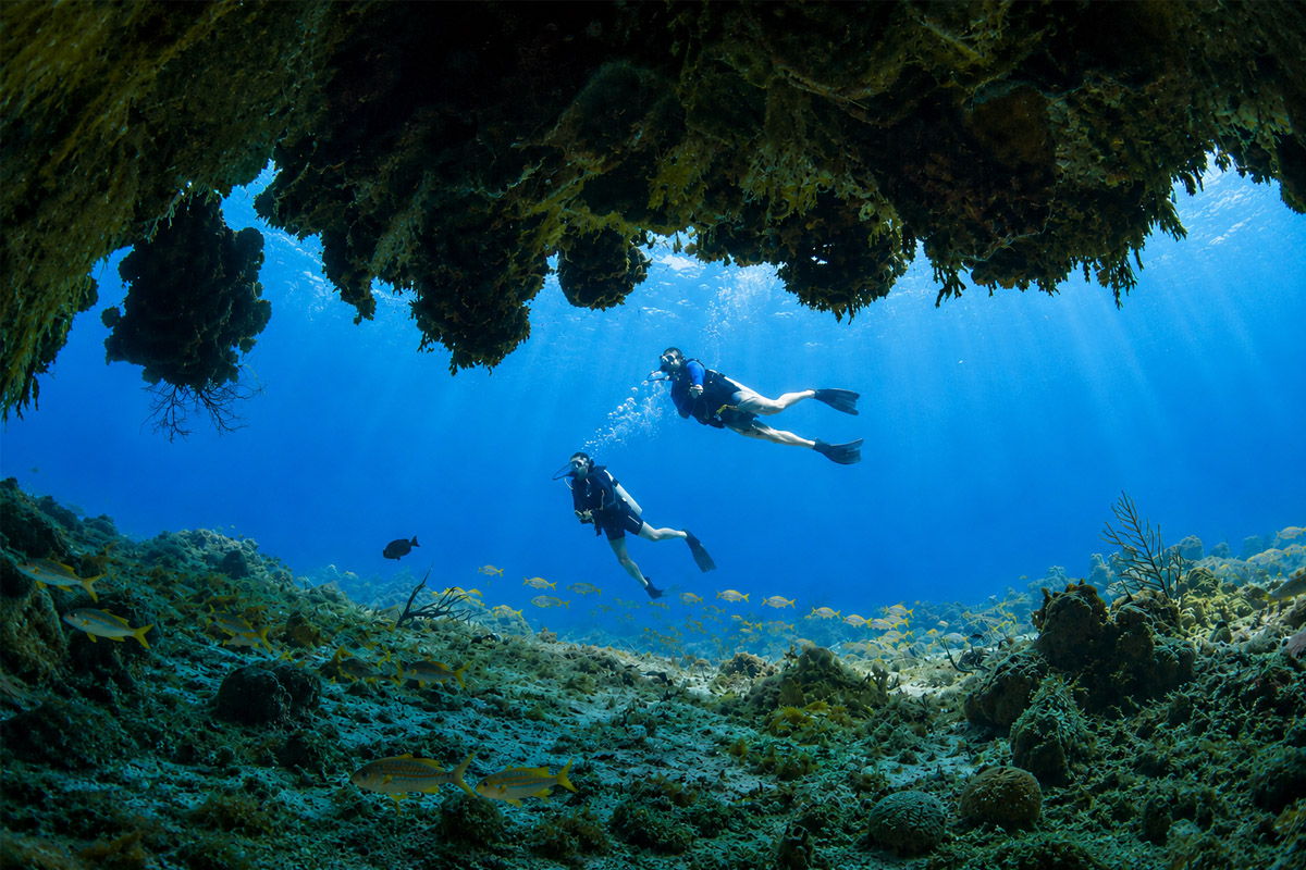 Scuba diving and snorkeling near Spanish Wells with Manuel's Dive Station