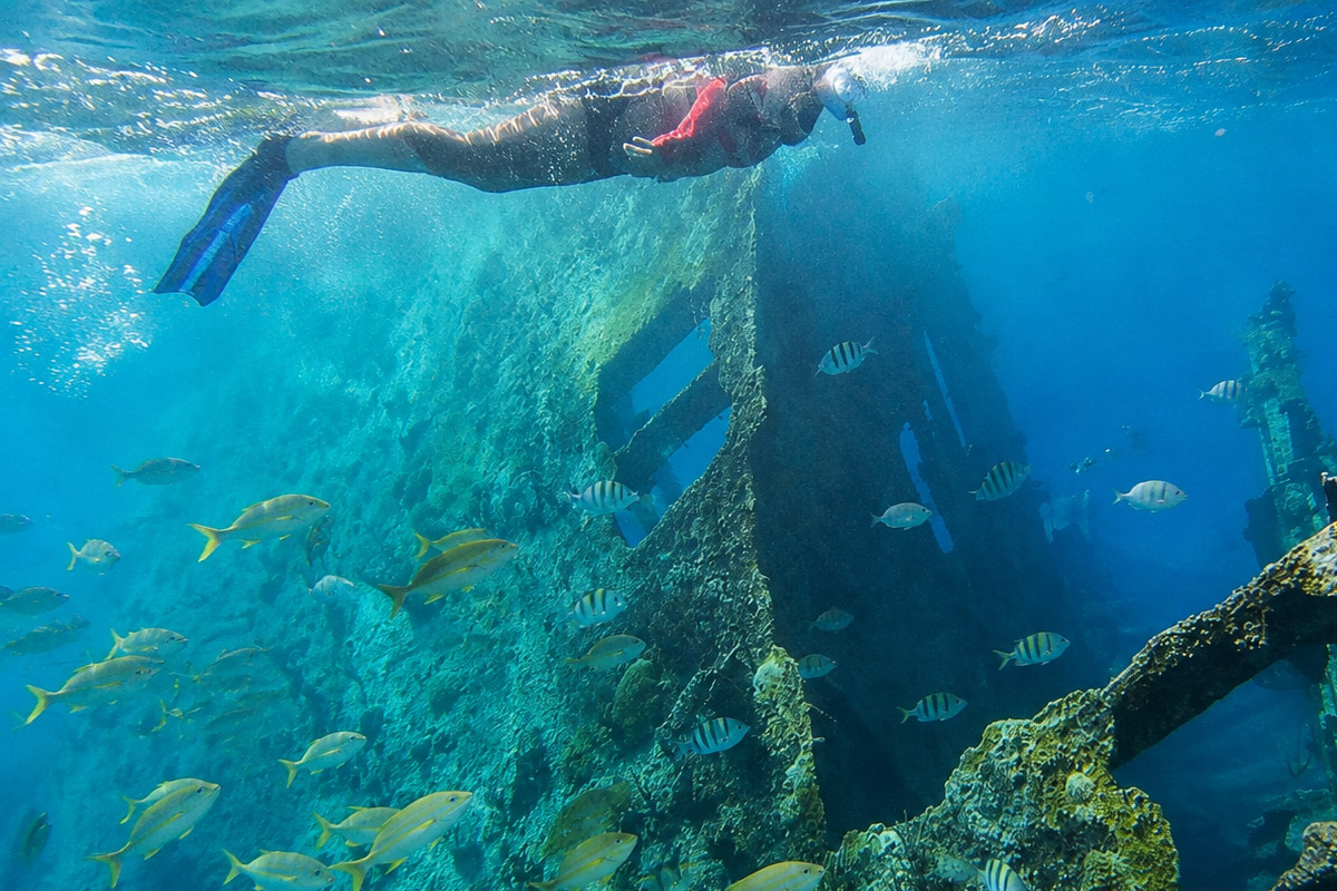 Diving and snorkeling reefs near Spanish Wells and Eleuthera, The Bahamas